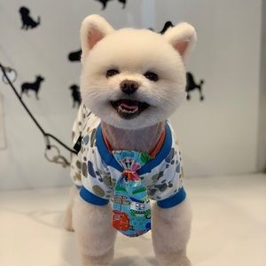 Meet your Posher, Rita